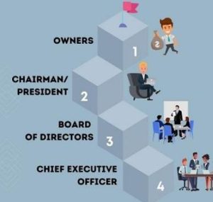 What Is the Difference Between AB and C-Level Executives?
